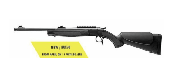 bergara