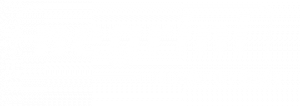 negrini logo